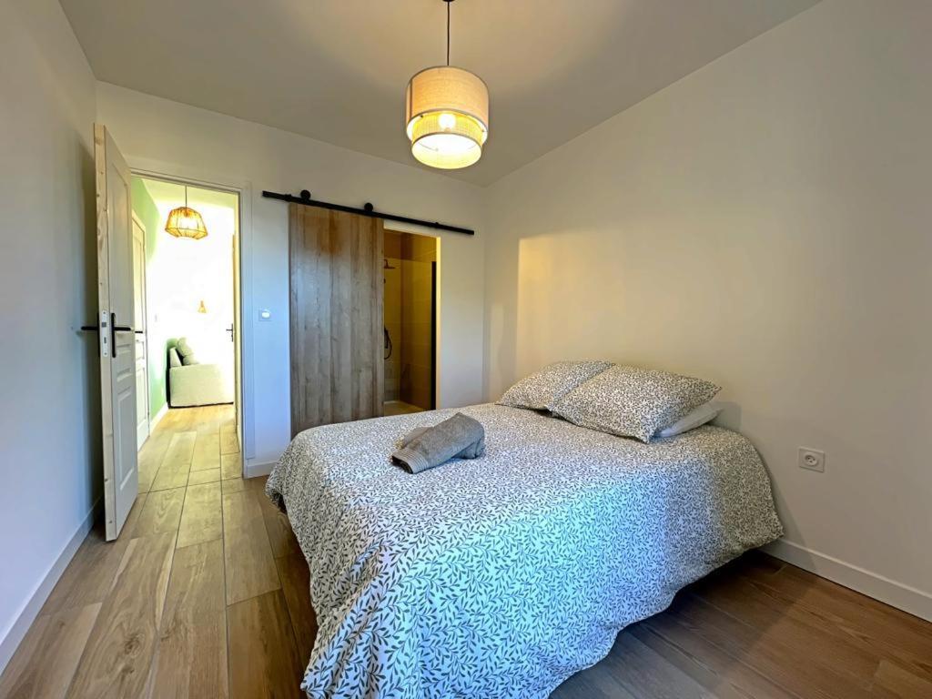Appartement Coup De Coeur. St Etienne-Rochetaillee Saint-Etienne  Bagian luar foto